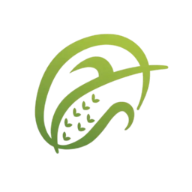 Surya Grain Logo
