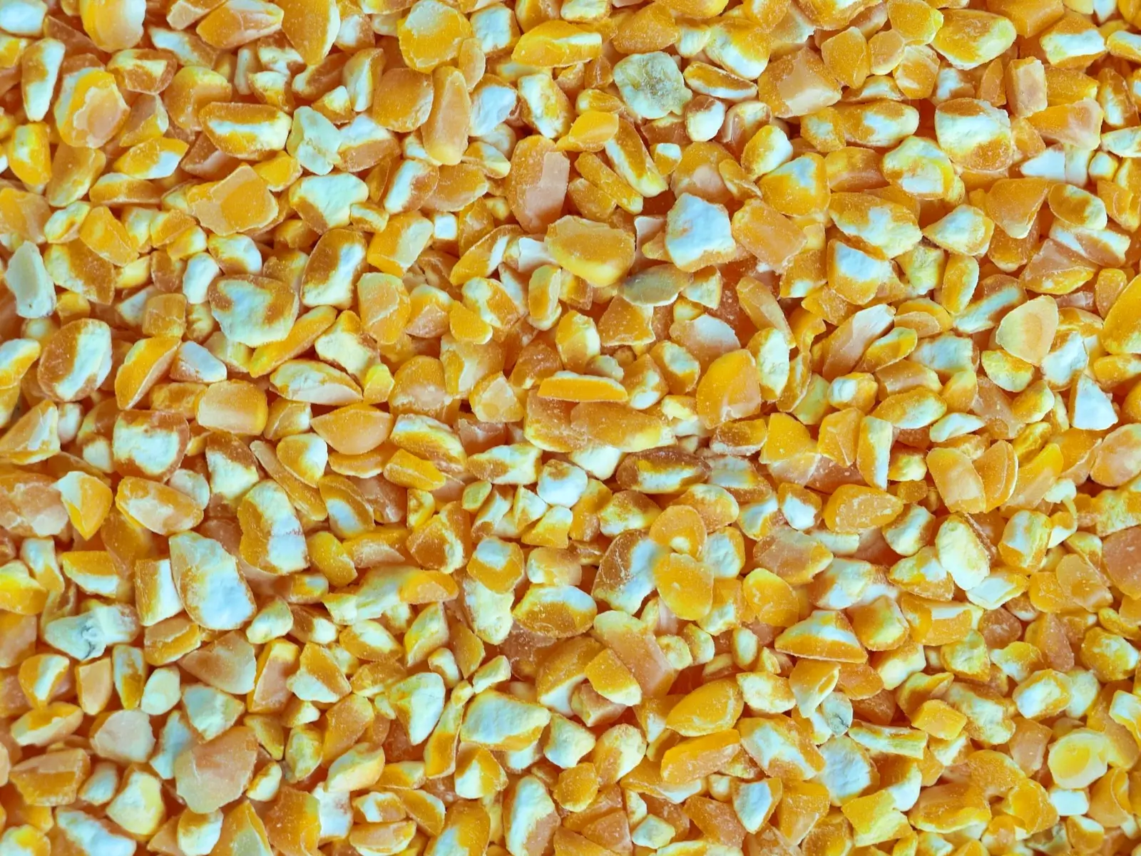 Broken Maize