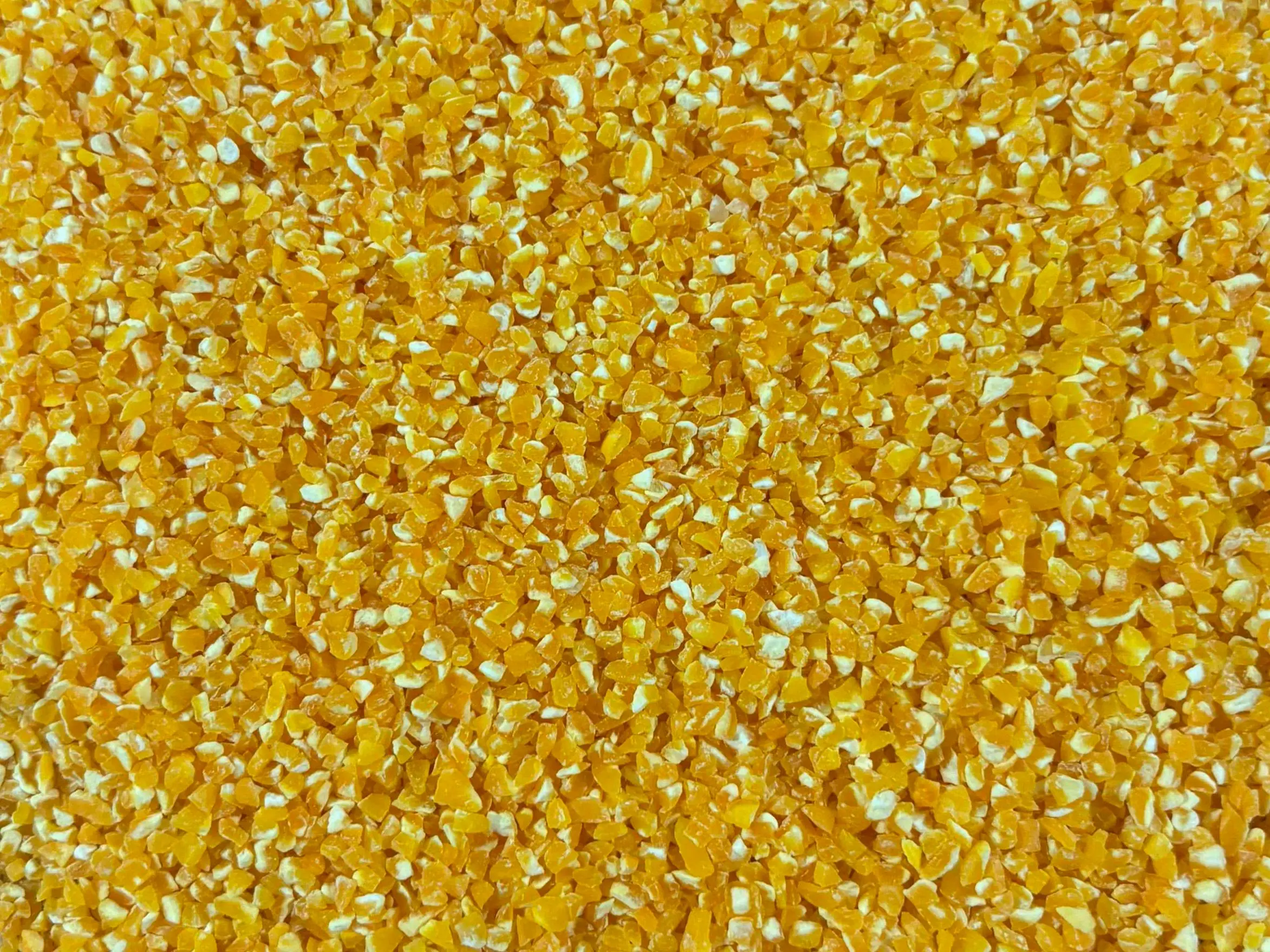 Corn Grits SG-3 Mesh 8